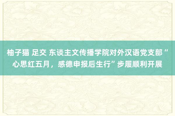 柚子猫 足交 东谈主文传播学院对外汉语党支部“心思红五月,感德申报后生行”步履顺利开展