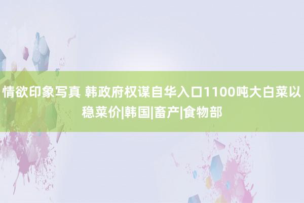 情欲印象写真 韩政府权谋自华入口1100吨大白菜以稳菜价|韩国|畜产|食物部
