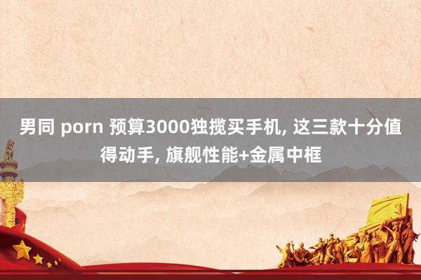 男同 porn 预算3000独揽买手机, 这三款十分值得动手, 旗舰性能+金属中框