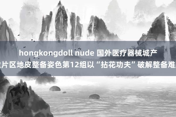hongkongdoll nude 国外医疗器械城产业片区地皮整备姿色第12组以“拈花功夫”破解整备难题